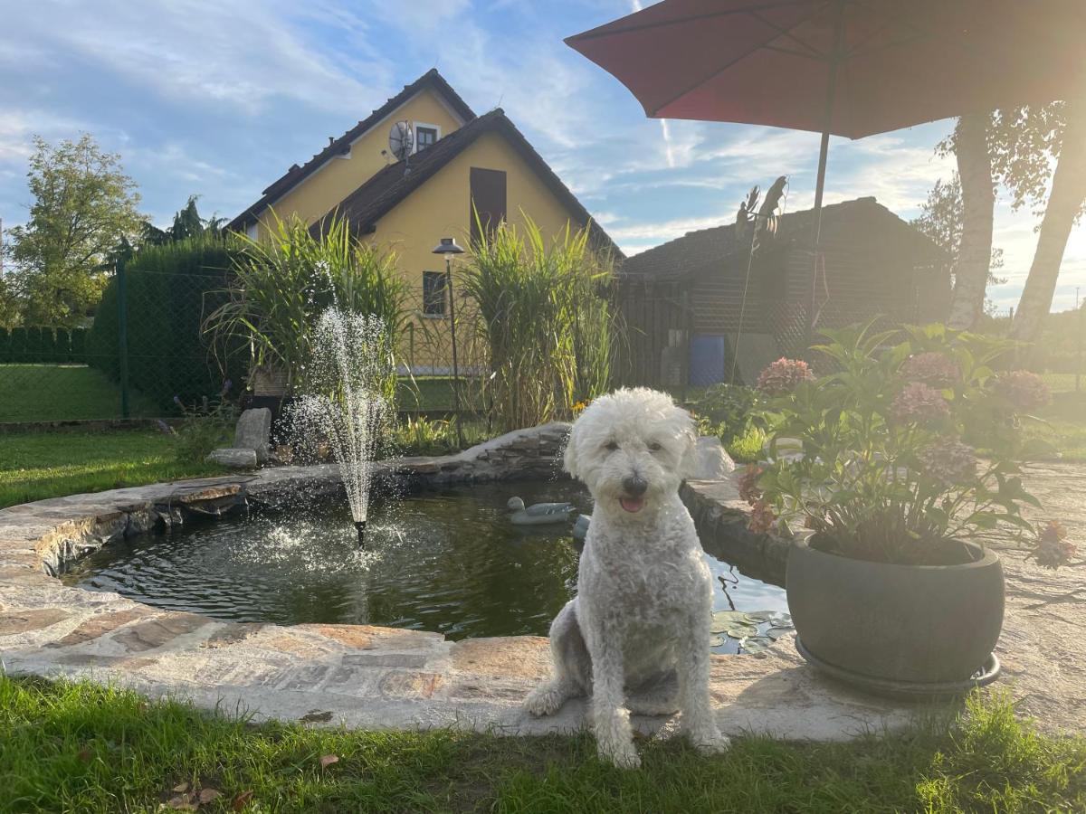 Ferienwohnung Eva Mureck Bagian luar foto
